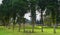 Bali park with tall trees and a bench in the middle