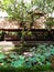 Bali restaurant in pavilion, lotus pond