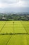 Bali Rice Field.