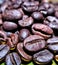 Bali roasted coffee bean