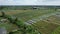 The Bali Terrace Rice Fields