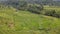 The Bali Terrace Rice Fields