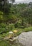 Balinese altar at Tegallalang Rice Terraces and vegetation in Ubud, Bali, Indonesia