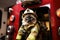 Balinese Cat Dressed As A Fireman At Work