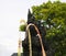 Balinese gate and pole