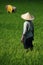 Balinese with hat working in rice field