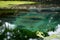 Balinese holy spring in Tirta Empul temple