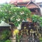 The Balinese House