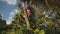 Balinese man climbing on top of palm tree