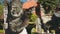 Balinese man stone statue in front of balinese gates and fountain