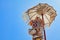 Balinese monkey Hanuman under ceremonial umbrella