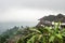 Balinese temples and rice fields