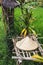 Balinese traditional straw hat on wicker bench in rice field