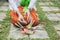 Balinese woman doing ritual offering canang sari and praying at