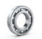 Of ball bearing radial isolated white background.