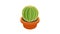ball cactus icon animation