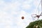 The ball flies into the basketball Hoop. Side view. Sky with clouds in the background. Concept of sports games
