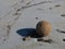 Ball formed by wind and weather