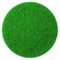 Ball made of green grass isolated