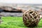 A ball of rattan, intertwined branches lies on the green grass. Close-up of the subject