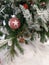 Ball with a star on a snow-covered Christmas tree with a place for an inscription