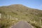 Ballaghbeama Gap; Killarney National Park