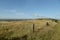 Ballard Down above Swanage Bay in Dorset