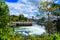 Ballard Locks Through Trees