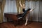 Ballerina in black tutu standing on pointes