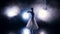 A ballerina dances in the artificial stage fog.