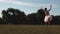 Ballerina dances on background of meadow, trees and blue sky.