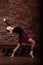 Ballerina in dark bodysuit, in dress in dark interior Studio. Wall of bricks, piano