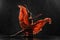 Ballerina demonstrates dance skills. Beautiful classic ballet. Silhouette photo of a young  ballet dancer.