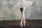 Ballerina female. Young beautiful woman ballet dancer, dressed in professional outfit, pointe shoes and white tutu