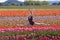 Ballerina In a Field of Tulips