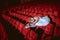 Ballerina sitting in the empty auditorium theater