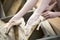 Ballerina tying the ribbon on his white pointe