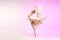 Ballerina. Young graceful female ballet dancer dancing over pink studio. Beauty of classic ballet.