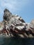 Ballestas islanda Paracas Peru sea lions pelicans penguins rock formations