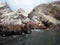 Ballestas islanda Paracas Peru sea lions pelicans penguins rock formations