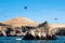 Ballestas Islands, Paracas National Reserve in Peru