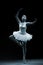 Ballet dancer-action