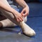 Ballet dancer feet
