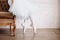 Ballet dancer`s feet on studio floor. Teenage dancer puts on ballet pointe shoes. Elegance and balance concept top horizontal vie