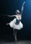 Ballet dancer and stage shows