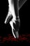 A ballet dancer standing on toes on rose petals with black background artistic conversion
