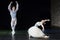 ballet dancers\' performances