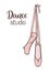 Ballet pointe shoes