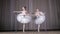 Ballet rehearsal, in old theater hall. Young ballerinas in white ballet skirts, tutus, are engaged at ballet, perform