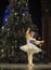 Ballet toes- The second act second field candy Kingdom -The Ballet Nutcracker